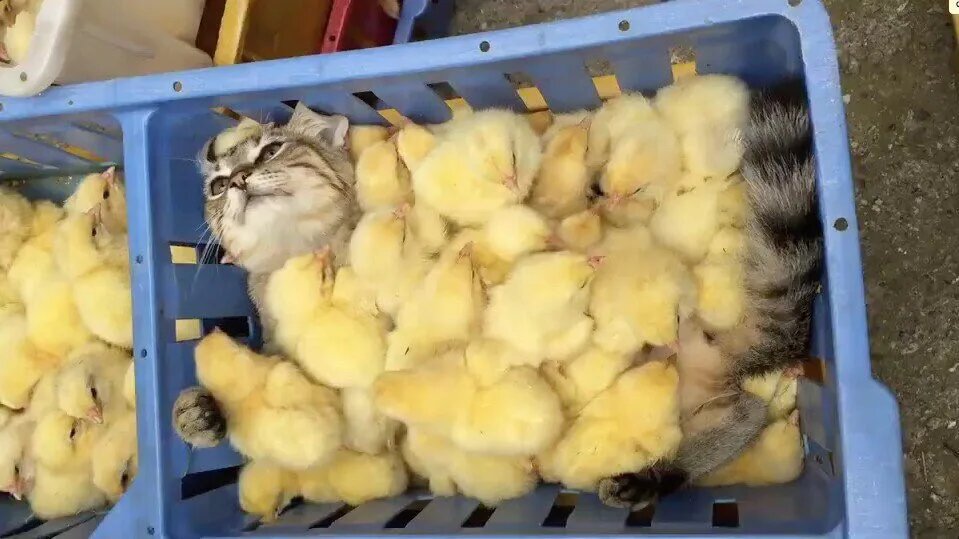 Фото из интернета для иллюстрации.