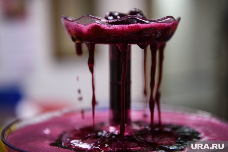 Среди угощений ждали винный фонтан... Фото: Илья Московец © URA.RU