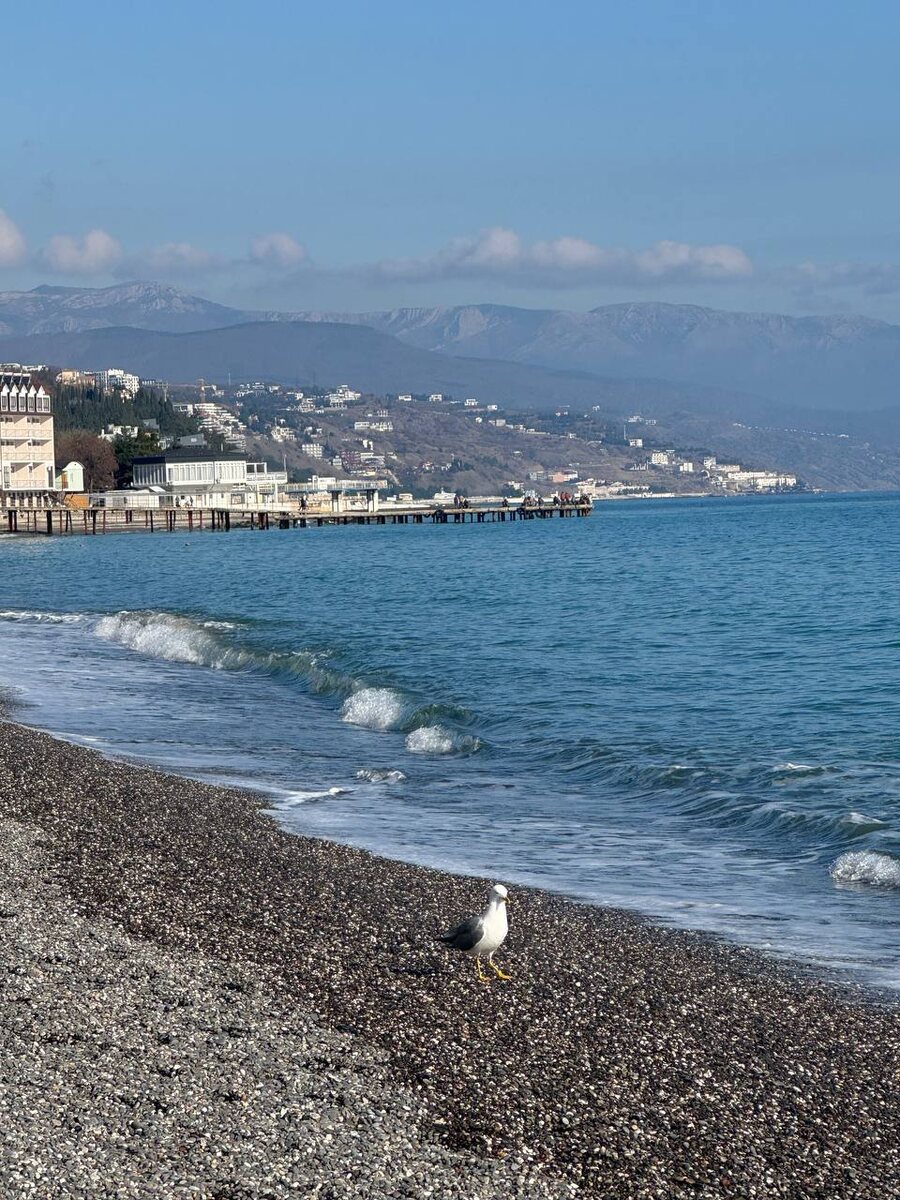 Виды Алушты