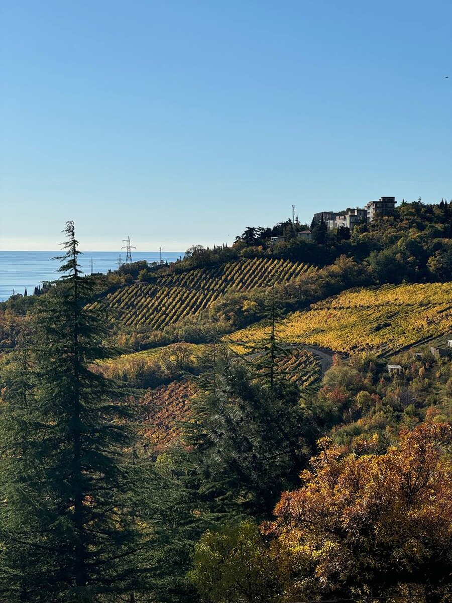 Виды Алушты