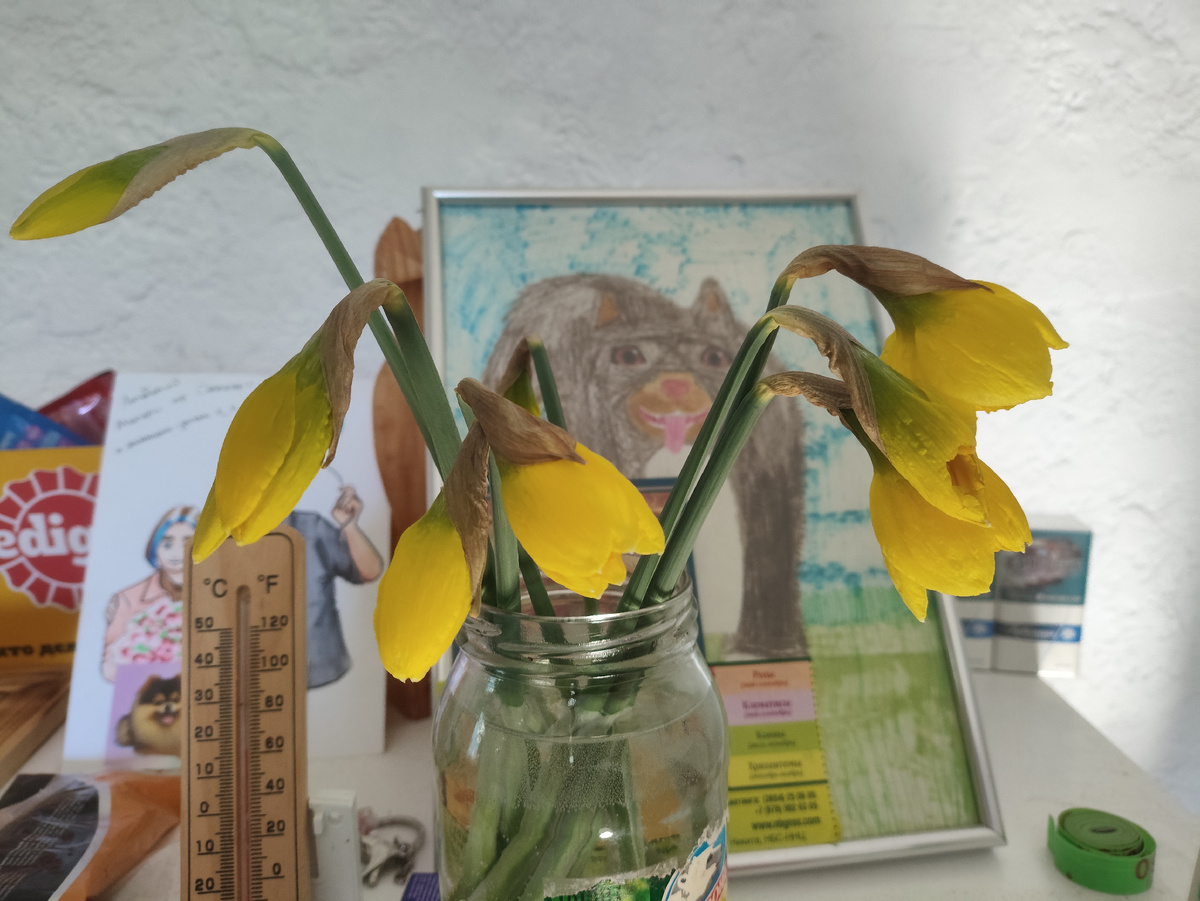 Буквально через час уже начали открываться