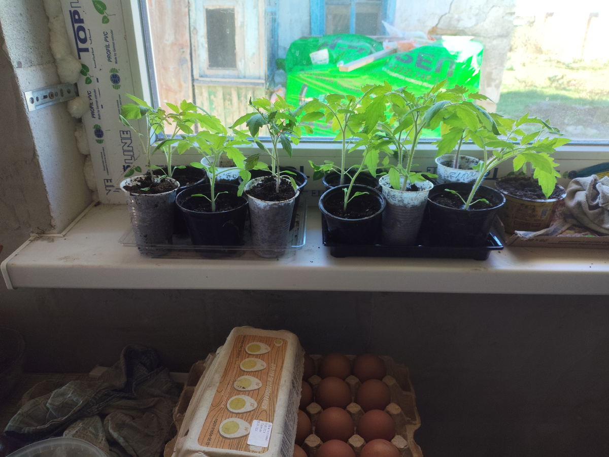 Полный комплект