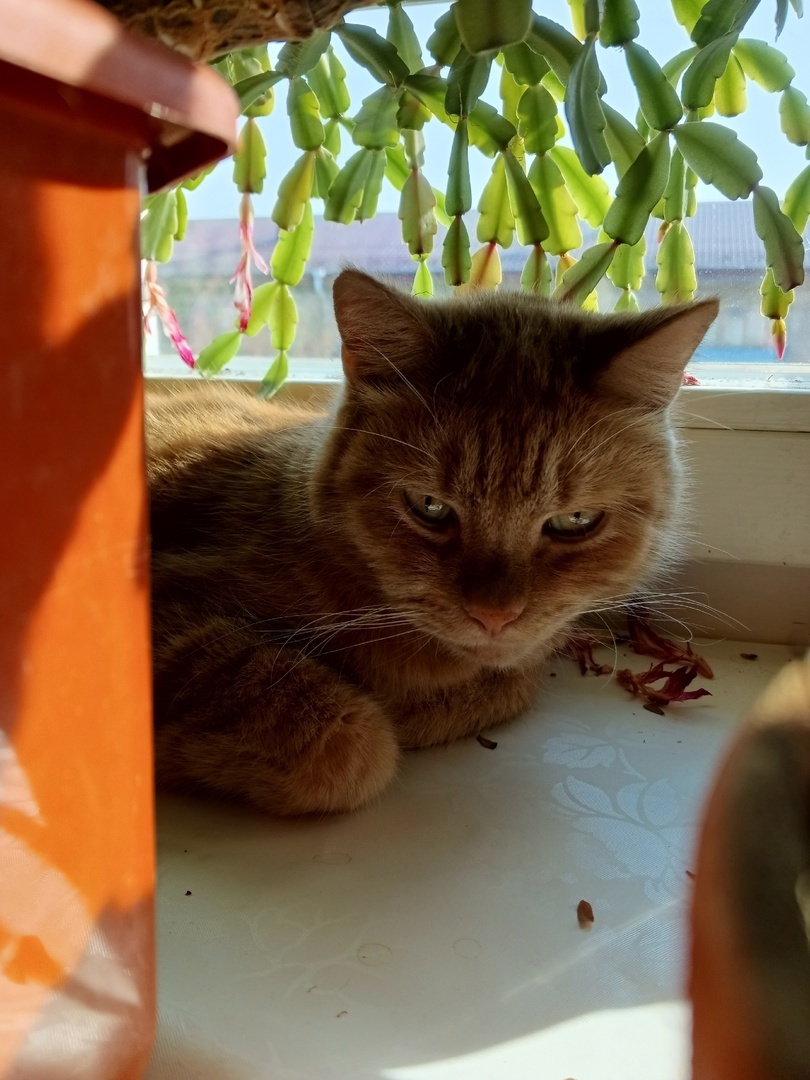 Солнечные ванны