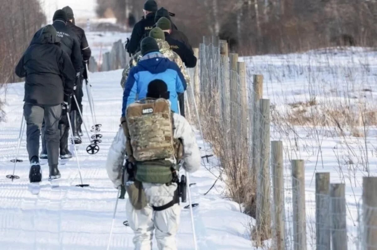    Садовый заборчик?