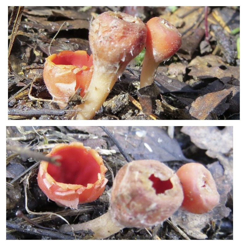 Фото автора, архив 2020