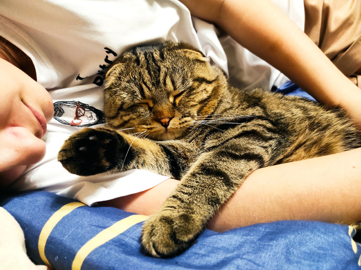 Даже думать не хочу об этом 