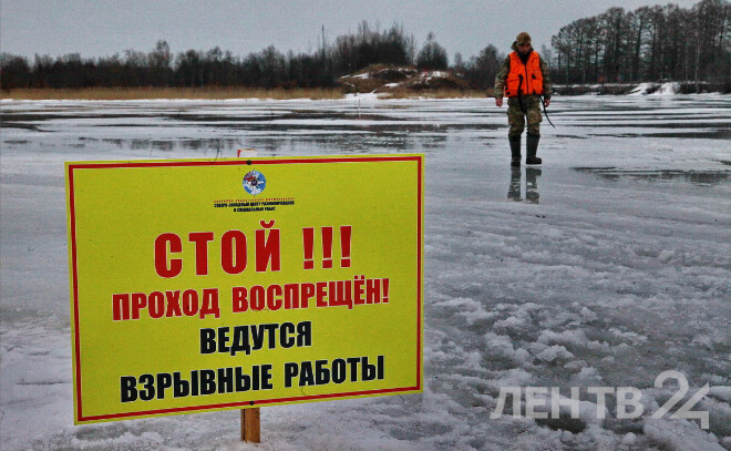    © Анастасия Илюшина / ЛенТВ24