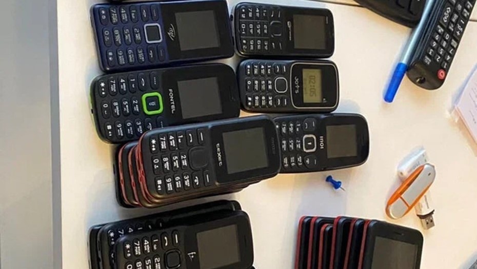    Автор фото: ГУ МВД по Ленобласти