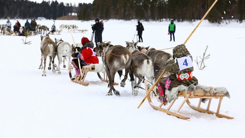    В Тром-Агане отметили День оленеводов, охотников и рыболовов
