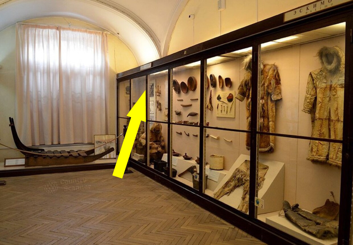    Неизвестные существа Кунсткамеры