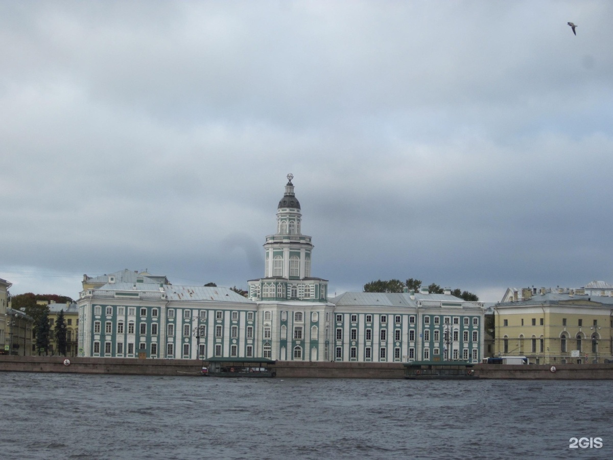    Неизвестные существа Кунсткамеры