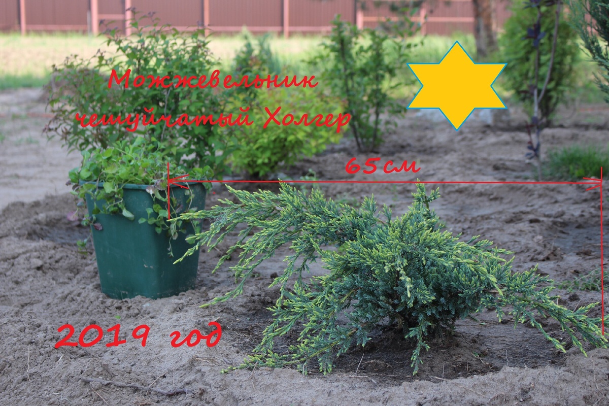 май 2019 год - год посадки