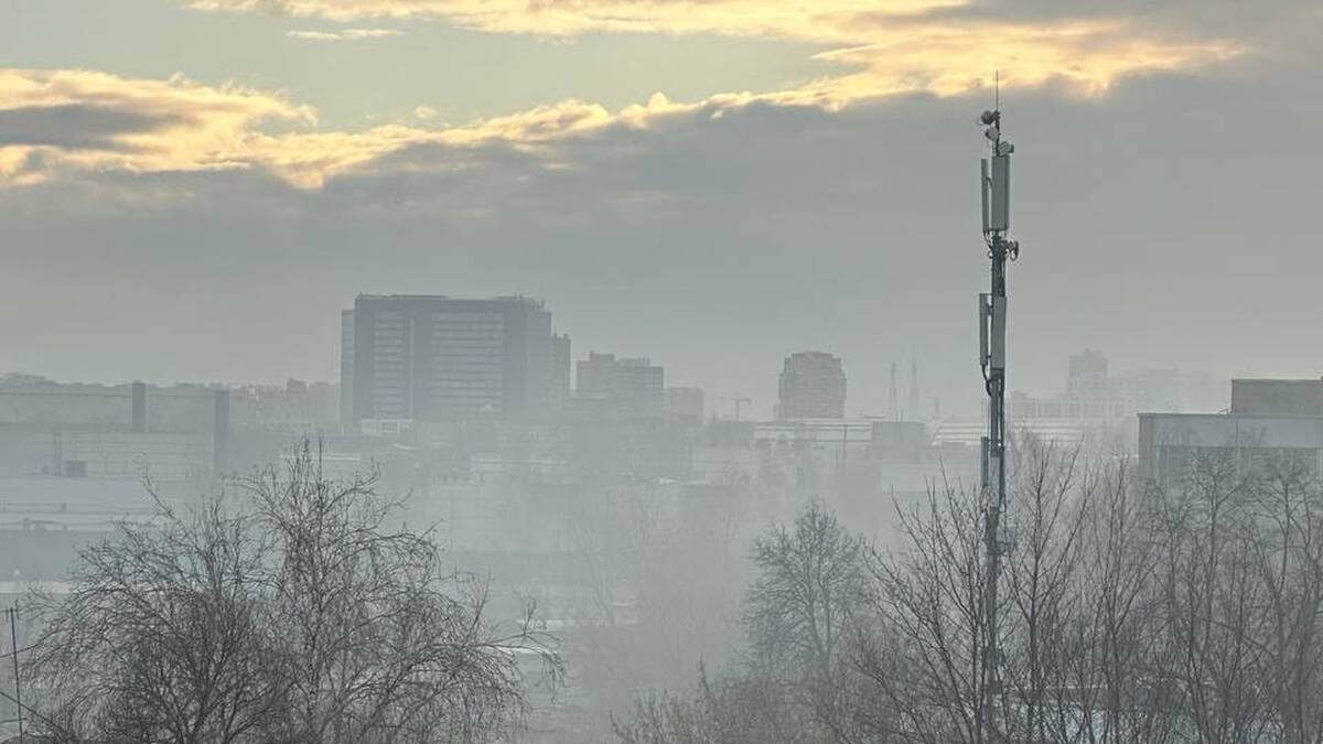    Фото: Полина Пашкина / Вечерняя Москва