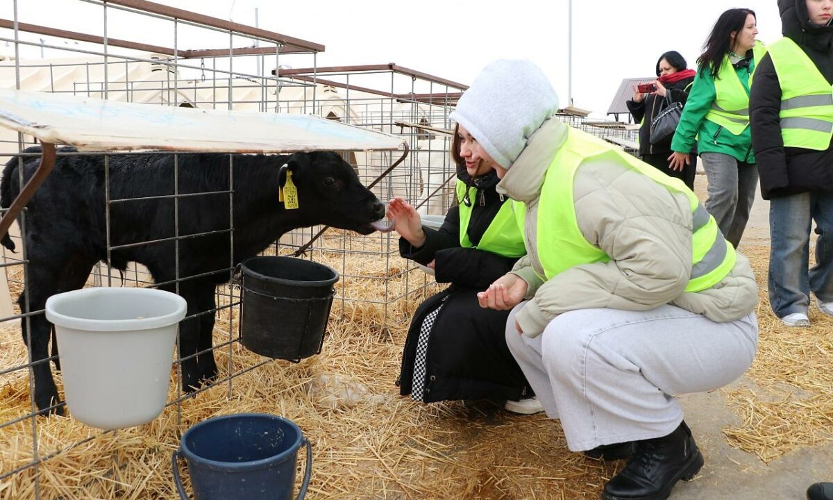    Фото пресс-службы министерства образования и науки Краснодарского края