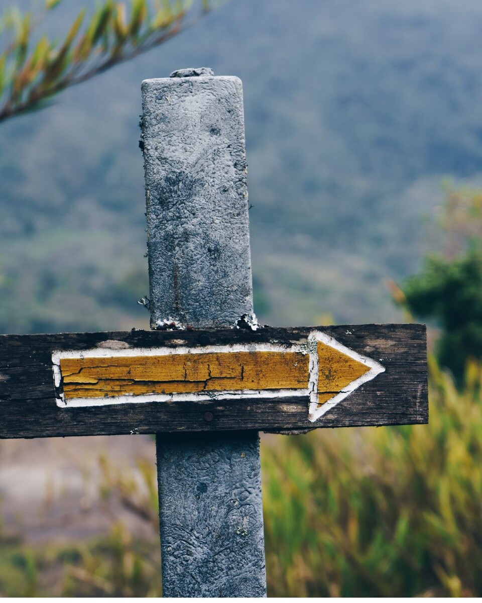 Фото: мальчики налево, девочки направо, дорожный указатель, психолог Екатерина Кастрицкая, консультации онлайн