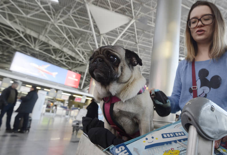    Фото: kommersant.ru Георгий