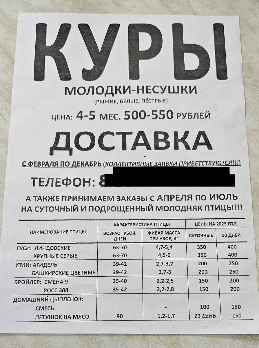 Объявление в местном магазине 