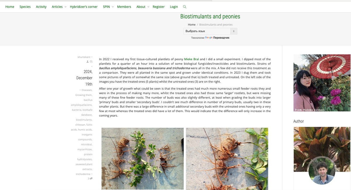 Скриншот с сайта https://www.peonysociety.org/