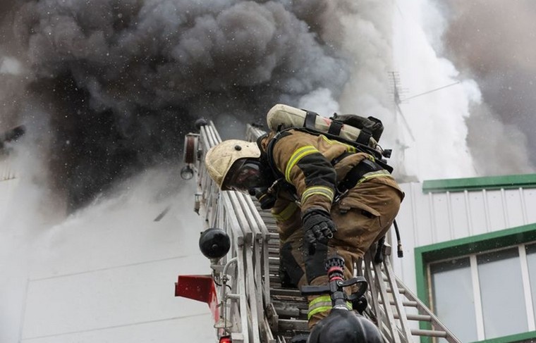    Алексей Белкин/NEWS.ru