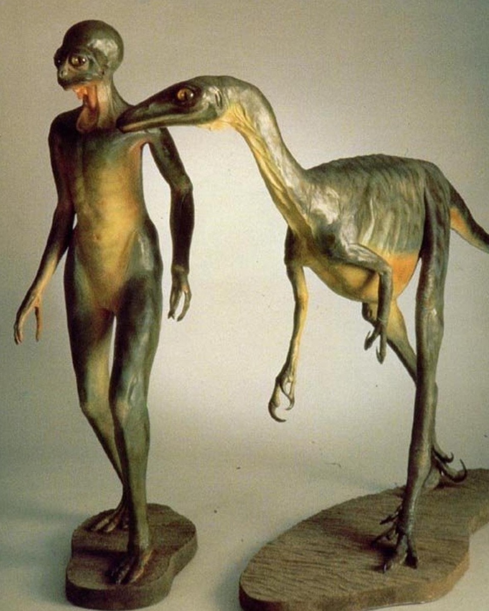 Как вариант. (Фото: 4stor.ru).