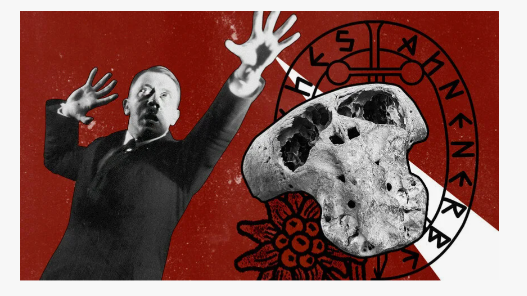 -8 height=591px width=1052px