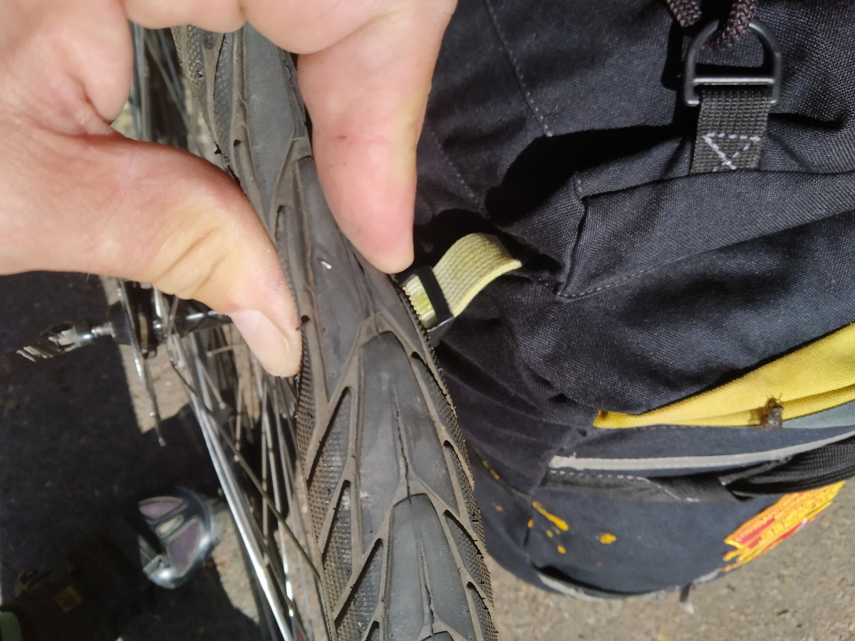 Вот такая "заноза"