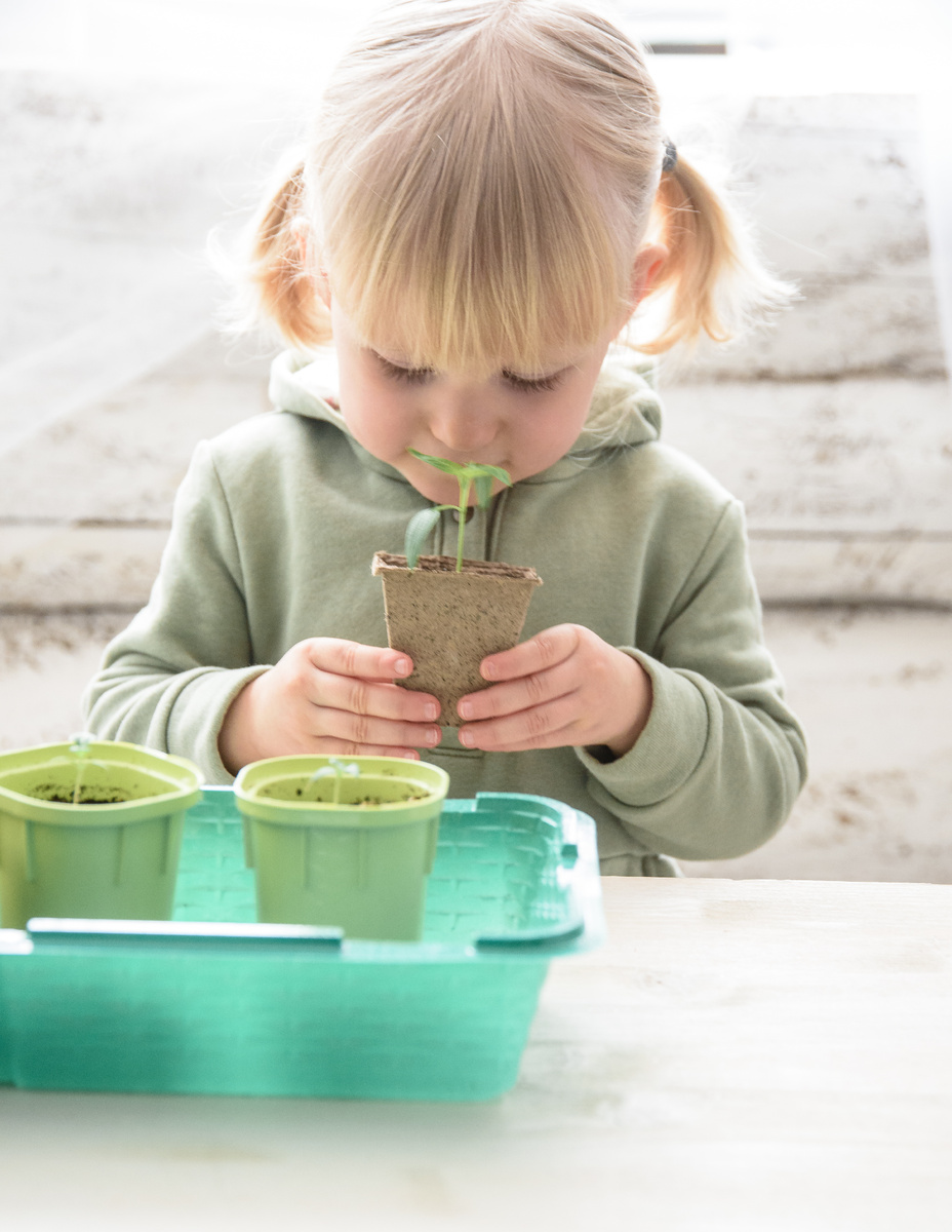 Профилактика черной ножки