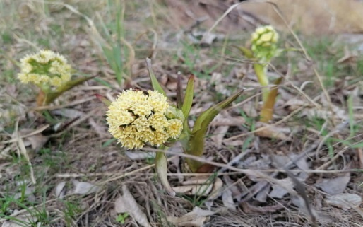 Фотография из личного архива автора