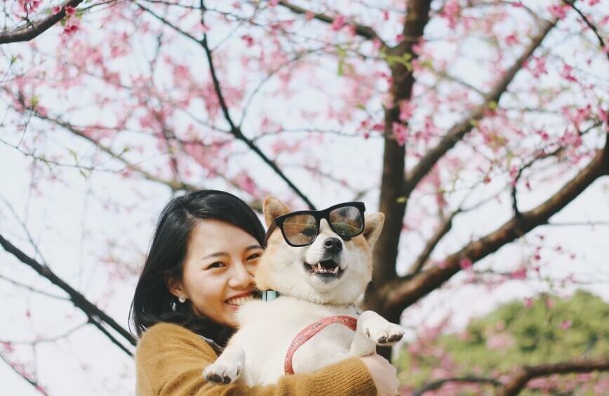    Весной и осенью погода ощущается по-разному, но в чем причина?