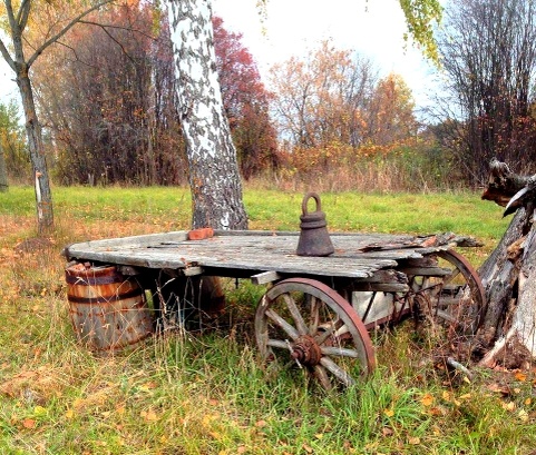 Осень  в деревне Мелетские горки Малмыжского района Кировской области. Фото Сунгатуллиной Д.