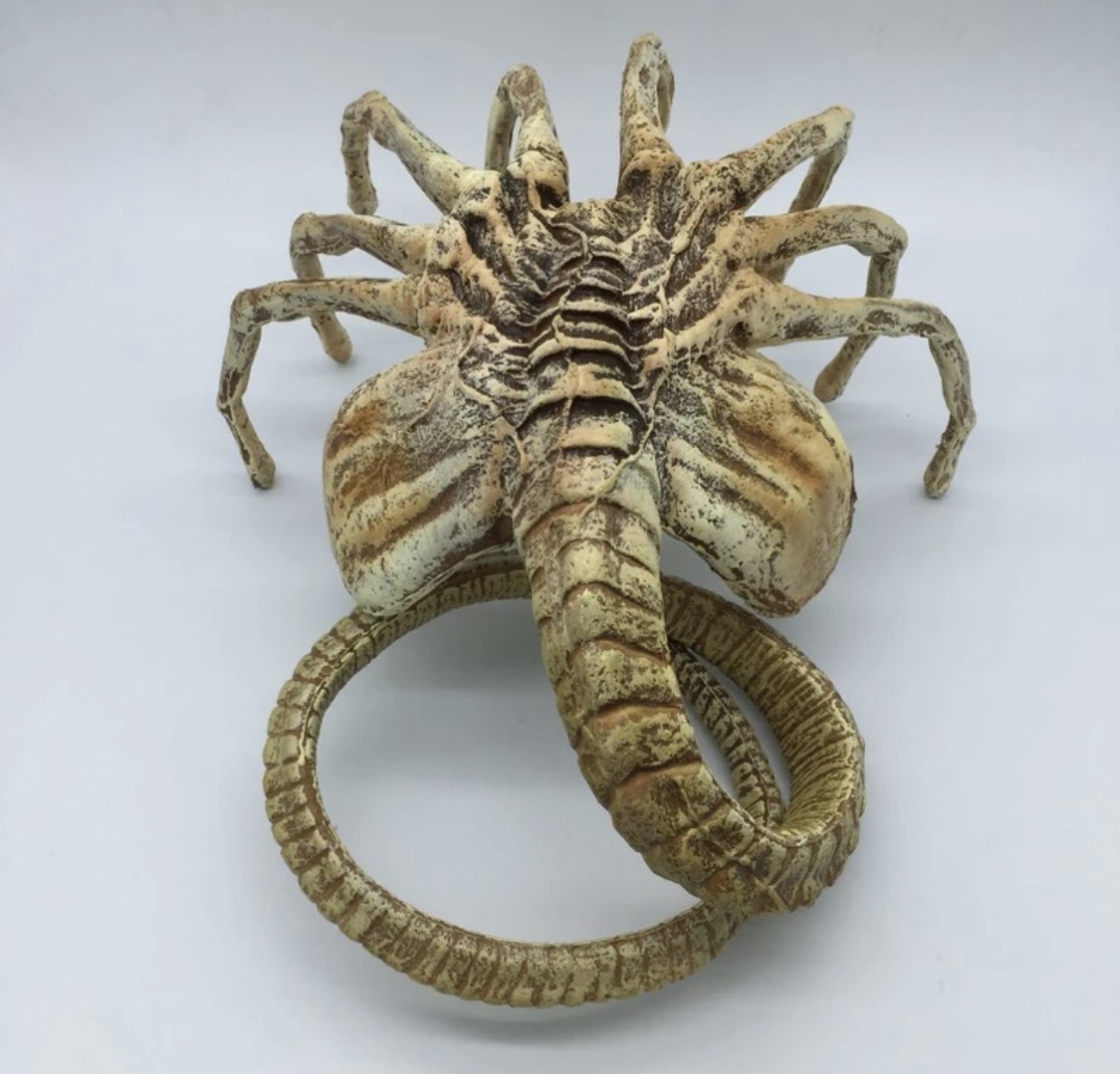 Милашка не правда ли?