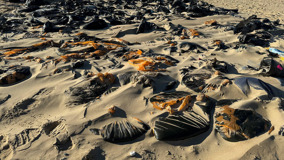 Фото: Александр Черных / Коммерсантъ