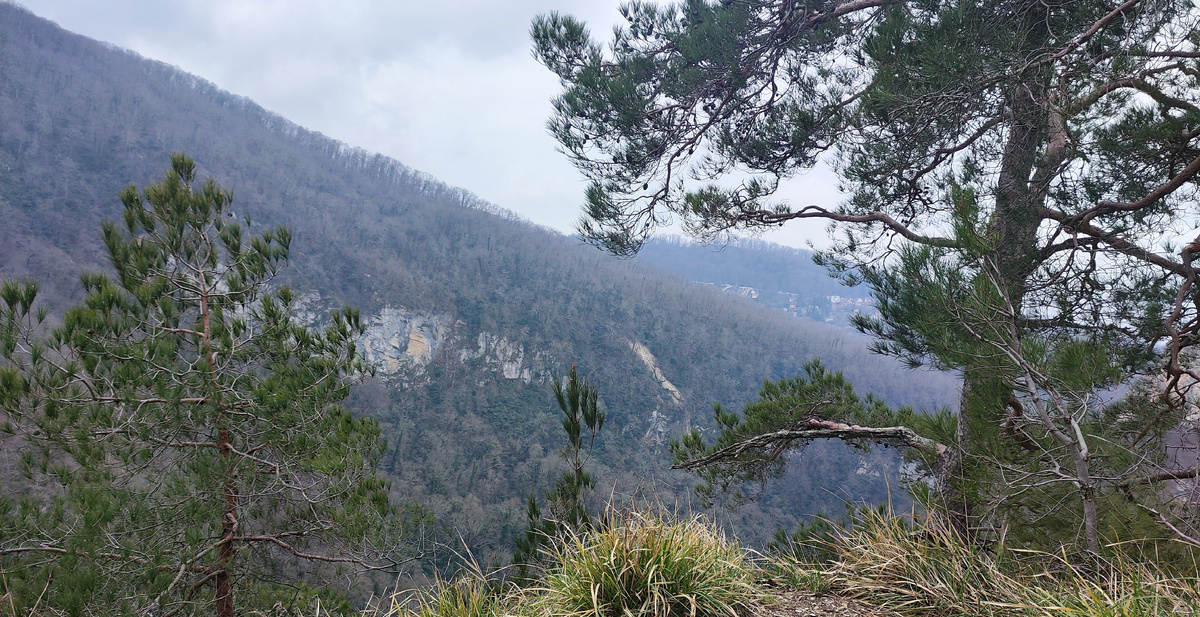 Агурское ущелье сверху