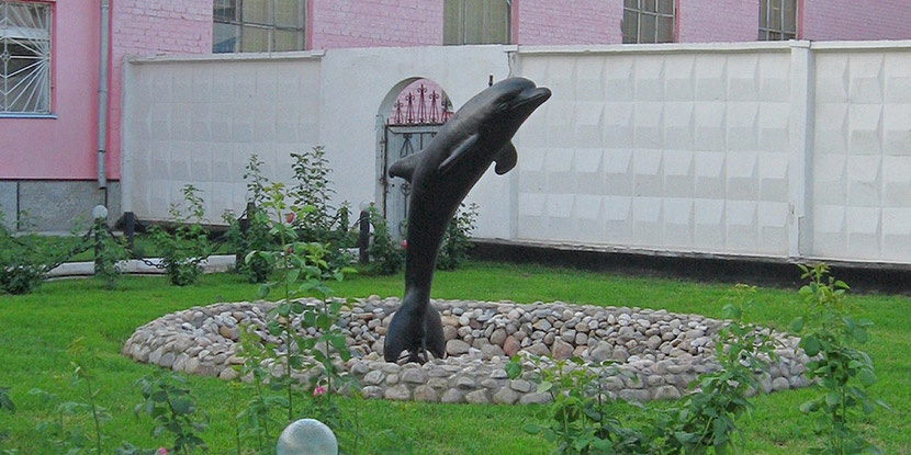 Чёрный дельфин