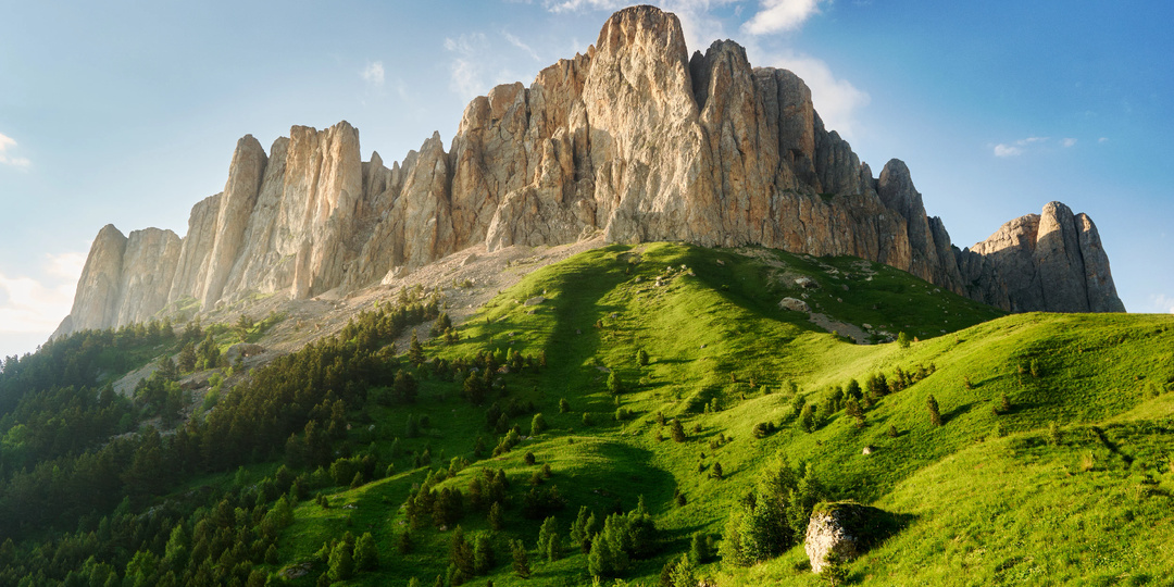 Лидерство и нейропсихология: как прокачать мозг, чтобы вести за собой и не сойти с ума