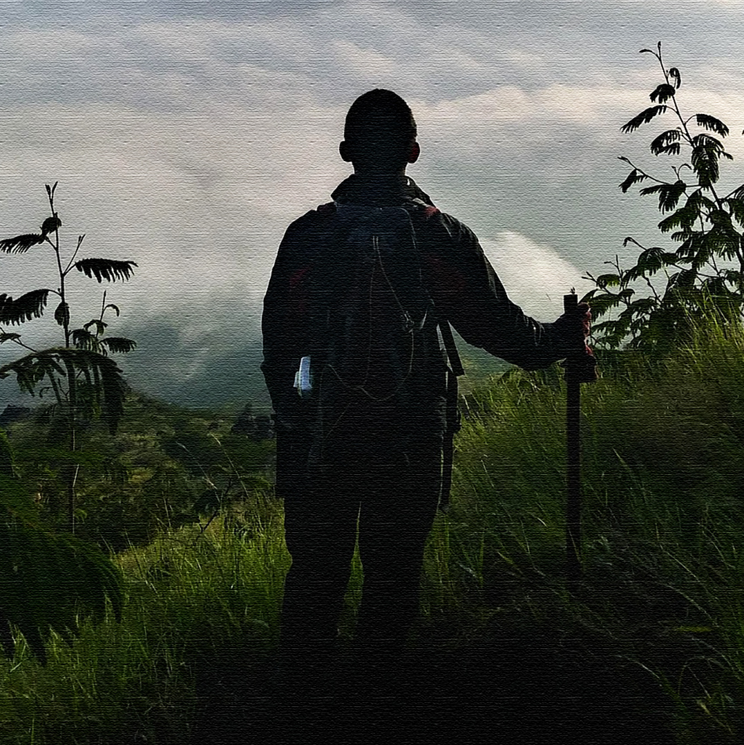 Фотография из открытого источника pixabay com
