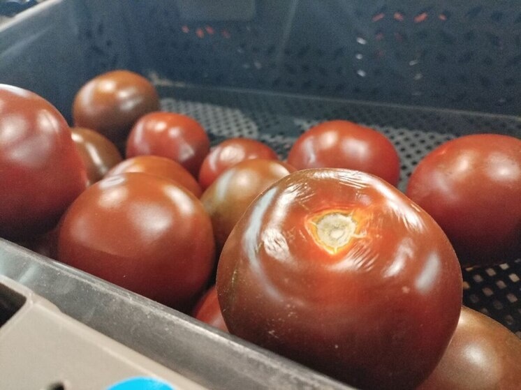     В цельных овощах и фруктах больше витаминов и минералов. Фото: Архив МК в Великом Новгороде