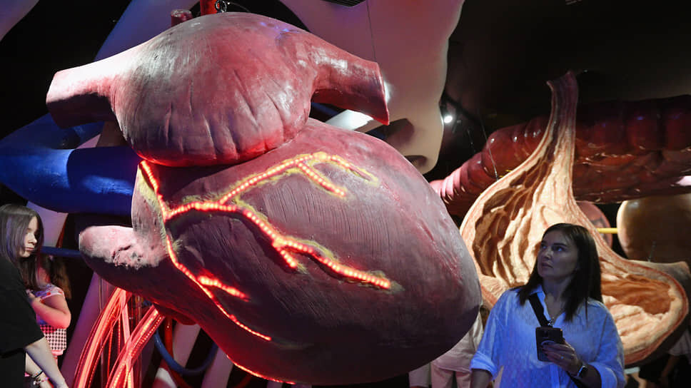 Фото: Евгений Разумный / Коммерсантъ