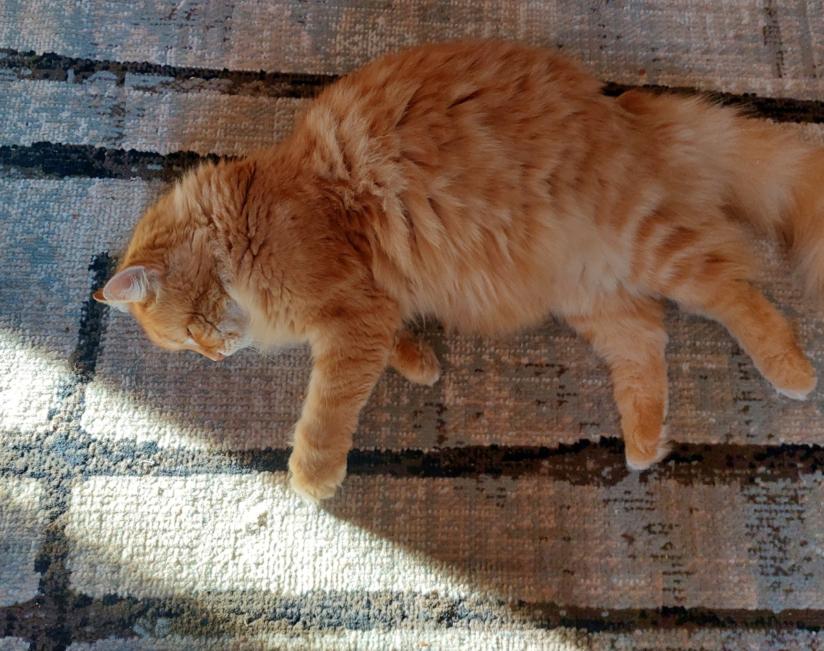 Фото автора