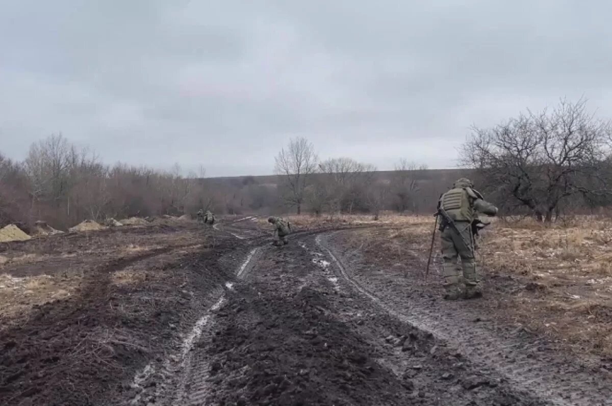    Саперы обнаружили растяжки с американскими гранатами в Курской области