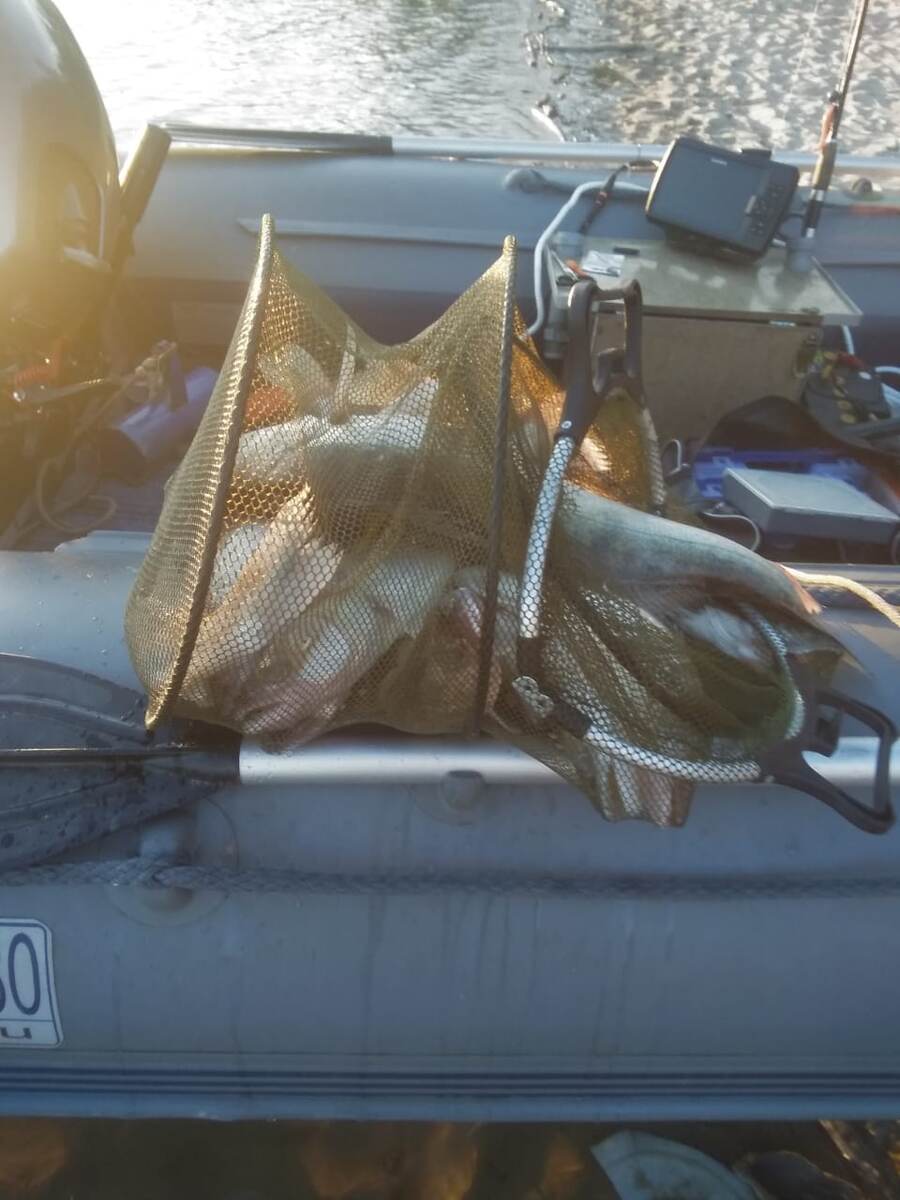 Обское вдхр.Улов до обеда...