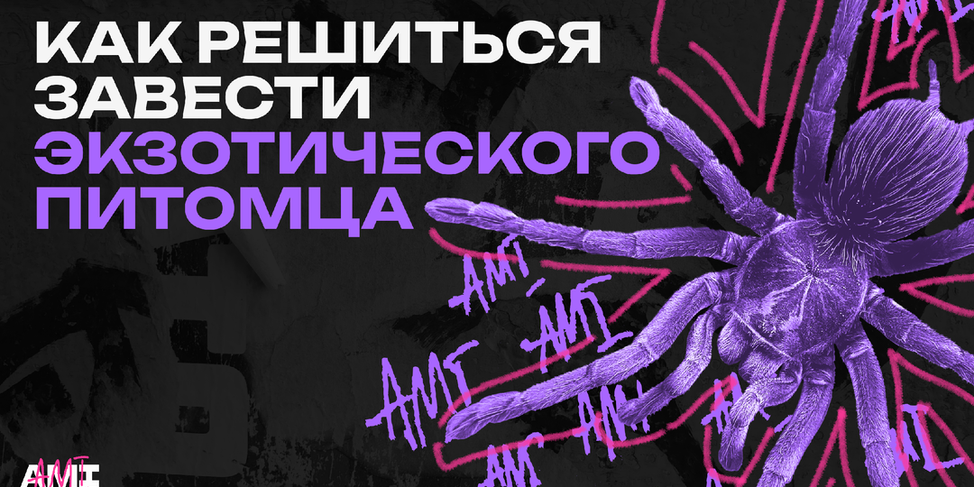 Как решиться завести экзотического питомца