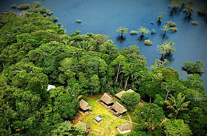 Я был искренне впечатлён этими видами экзотической природы...