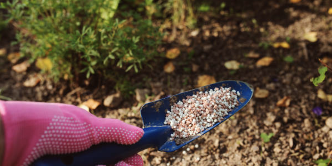 Какие удобрения выбрать для сада и огорода в весенний период.
