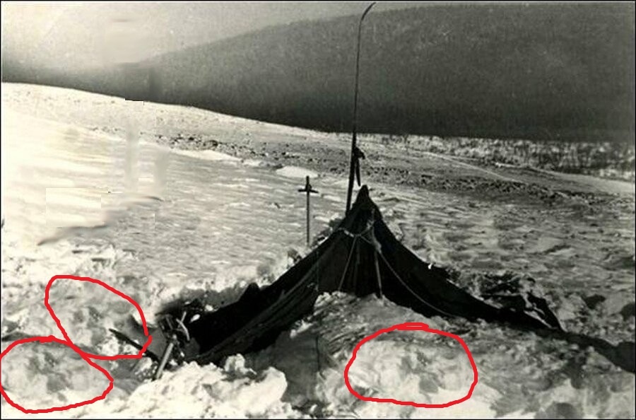 Коллаж автора с предыдущего снимка.