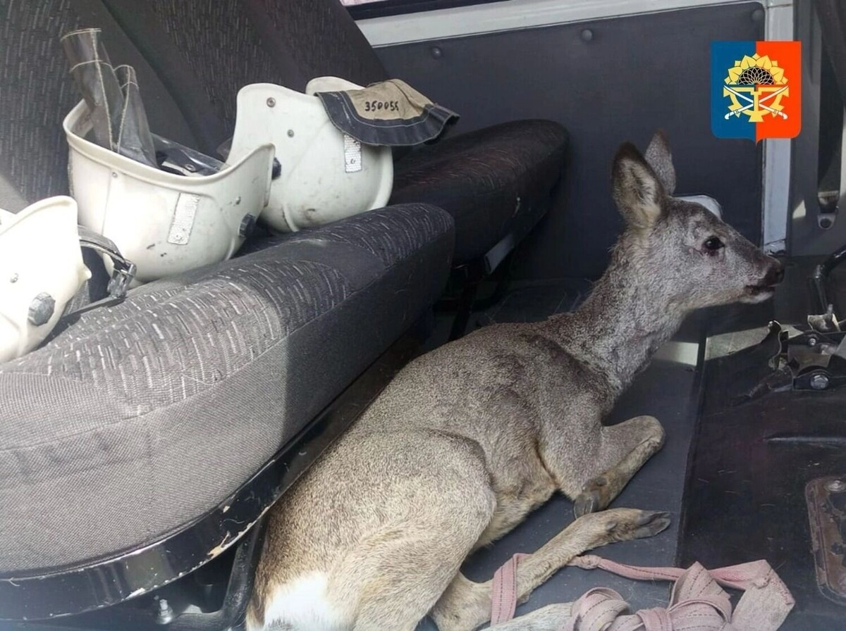     Источник: Администрация Миллеровского района