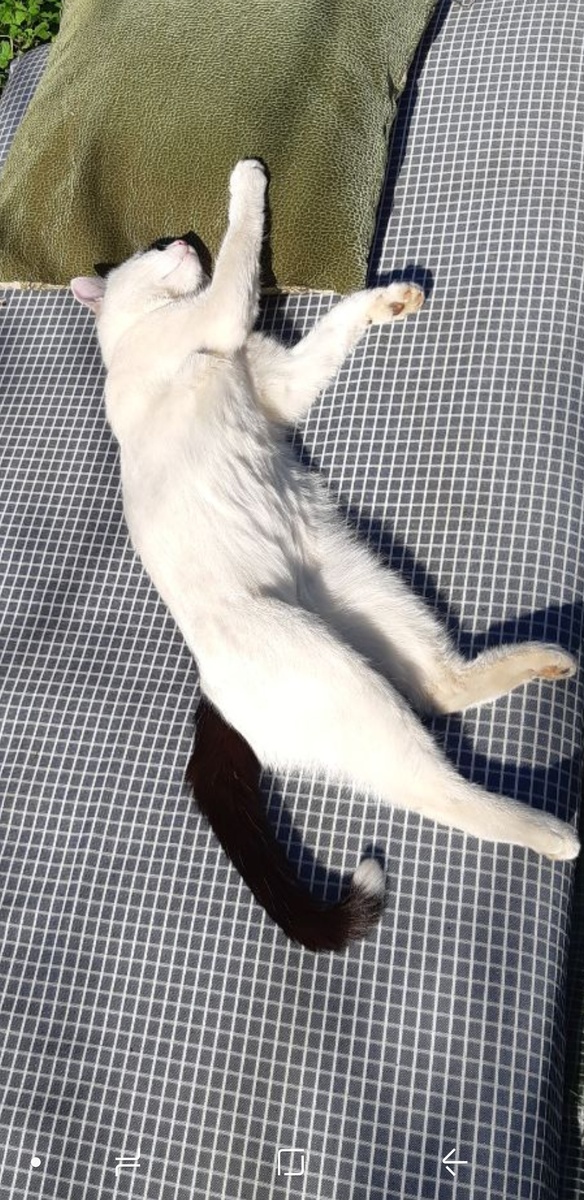 Настоящий дачник)