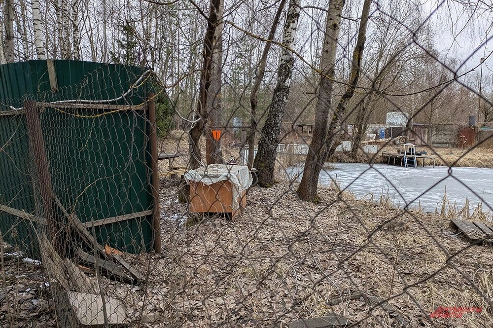    Фото:  АиФ/ Елена Краснова