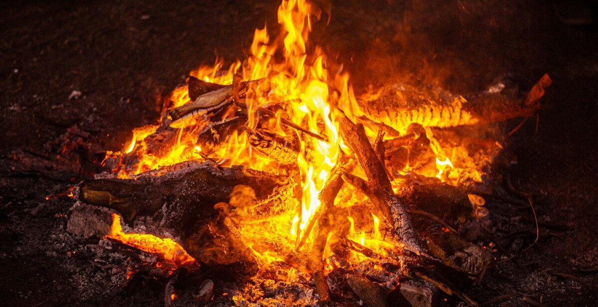 Фото: Gursimrat Ganda / Unsplash