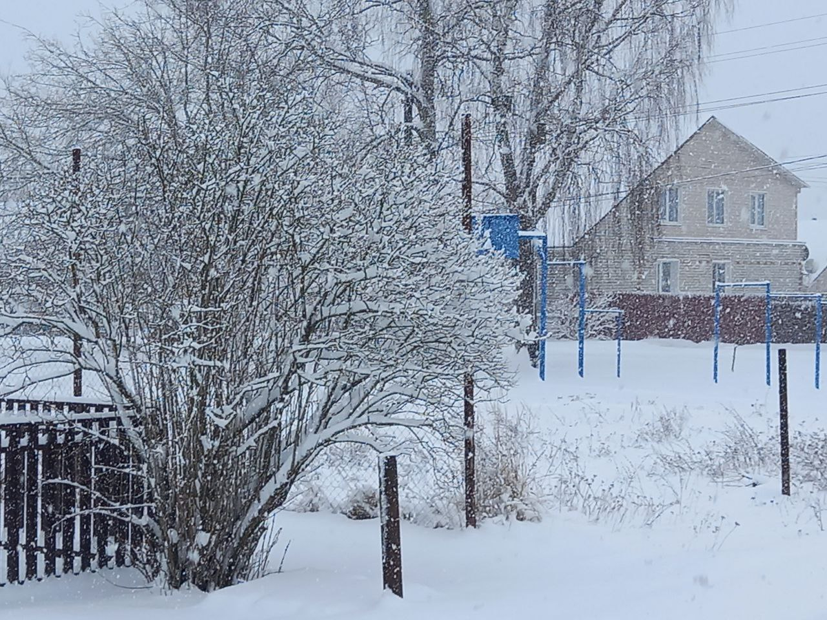 Мартовская зима. Фото автора.